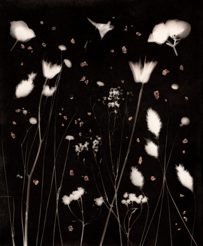 CAMERA-LESS SILVER-IRON CONTACT PRINT WITH COPPER GILDING, 6"X8"
