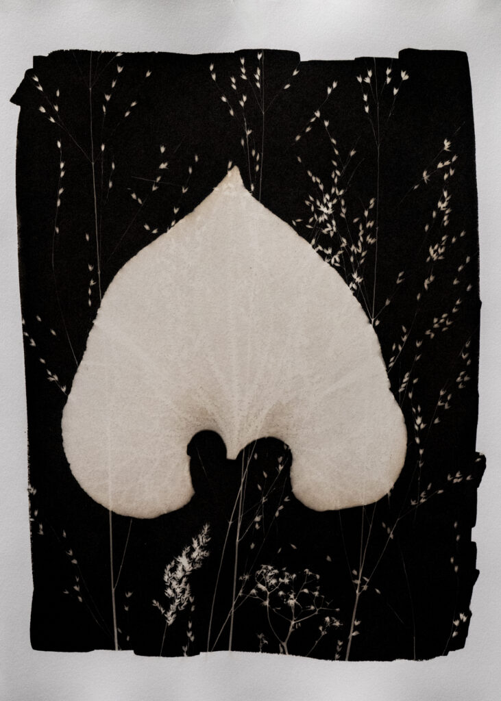 Phytogram