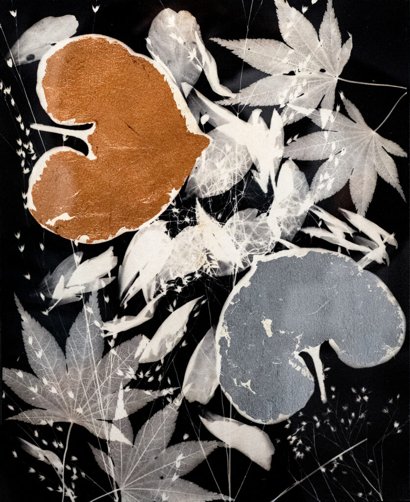 Phytogram