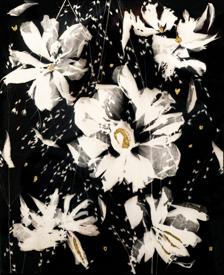 CAMERA-LESS SILVER-IRON CONTACT PRINT WITH GOLD LEAF, 8"X10"