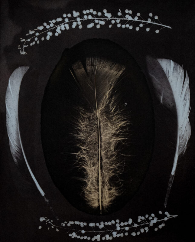 CAMERA-LESS SILVER-IRON CONTACT PRINT WITH WATERCOLOR, 6"X8"