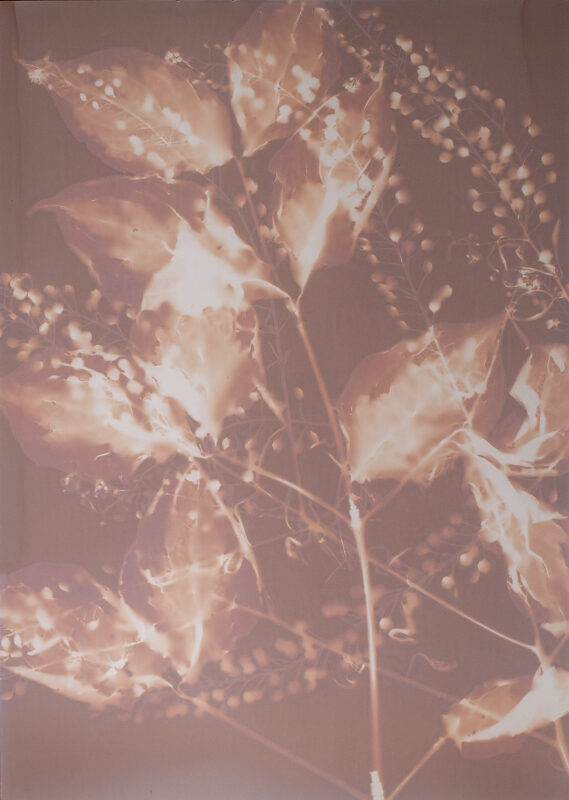 LUMEN PRINT, 5"X7"